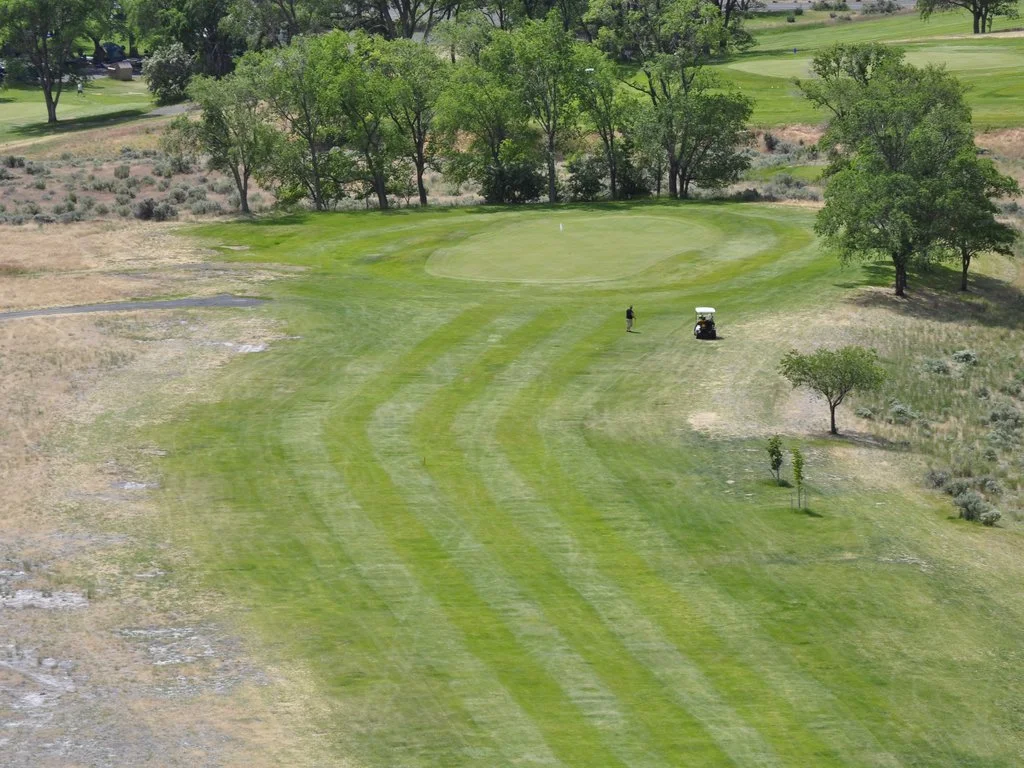 Green 2 from the air