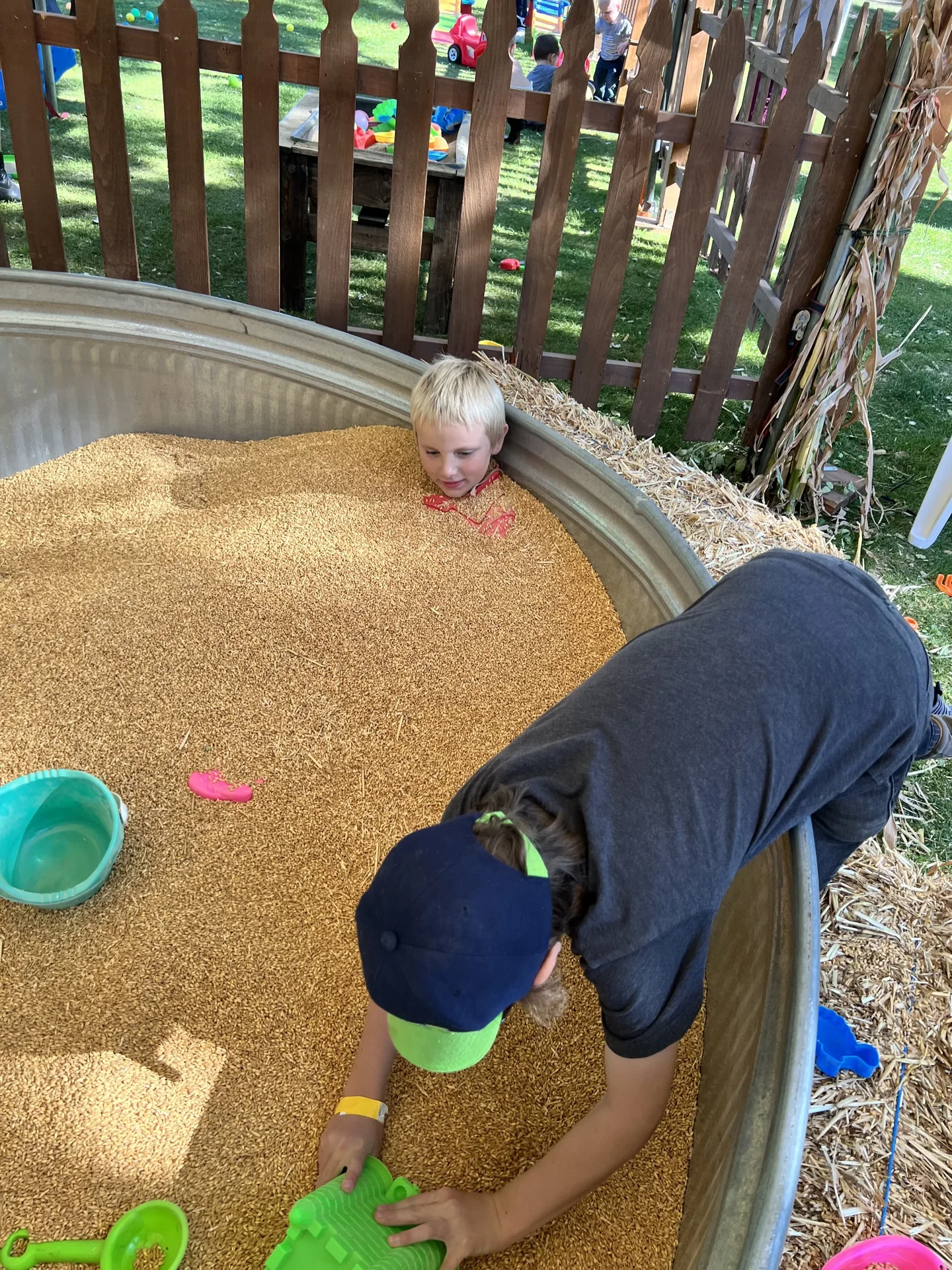 Wheat pit
