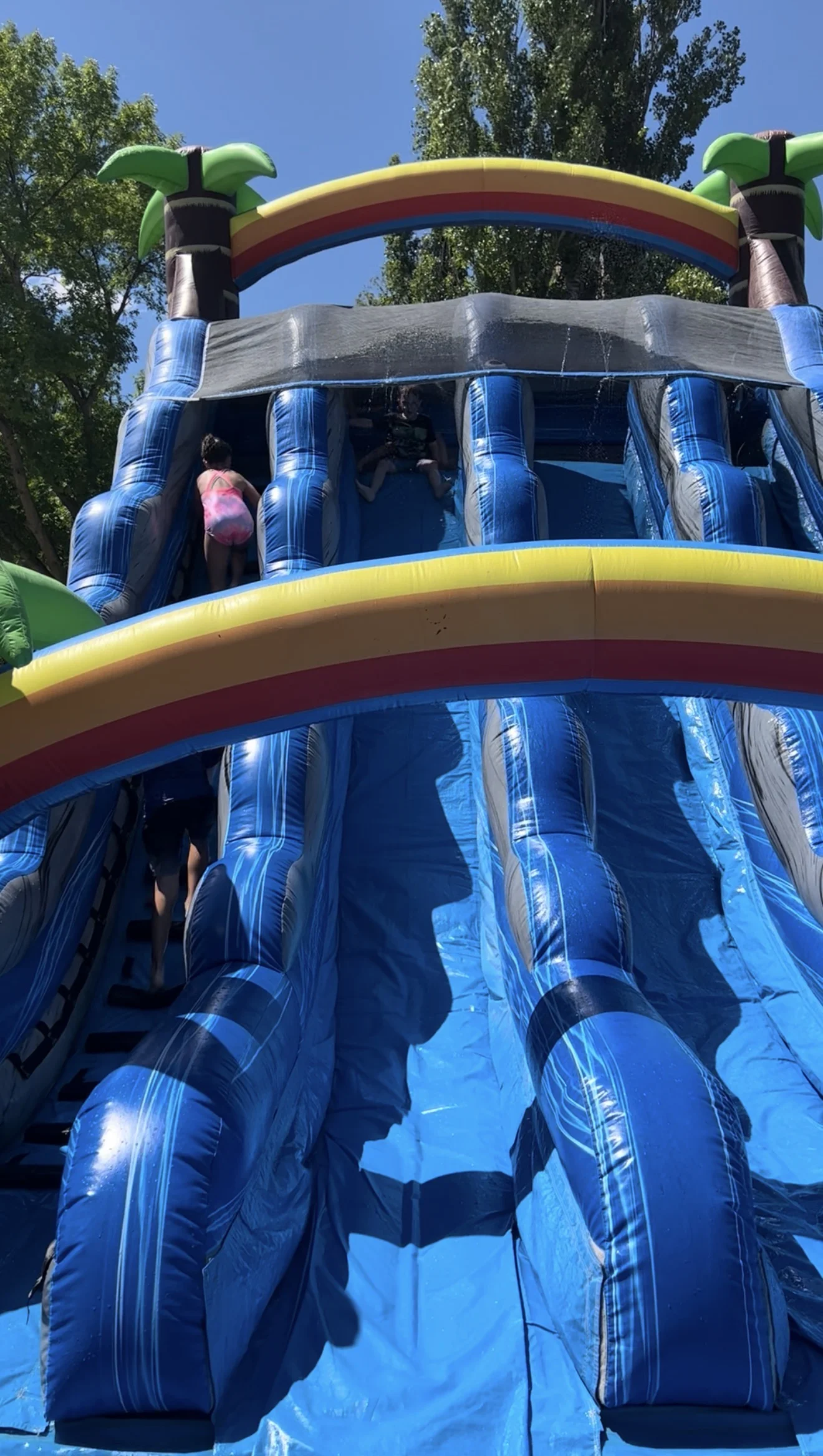 Family Fun Day inflatable slide