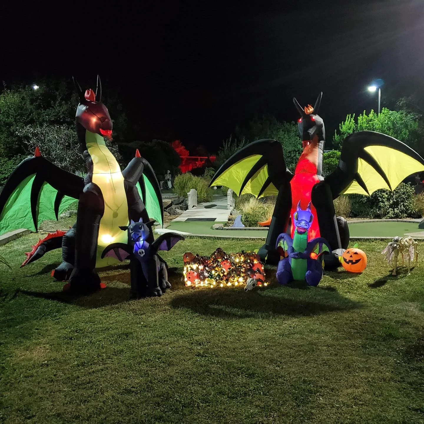 Dragons with their treasure