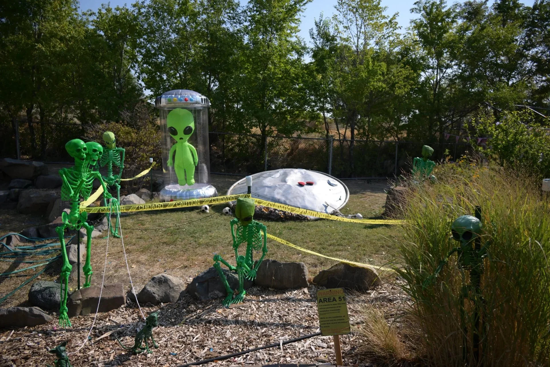 Not saying it's aliens... but it's aliens