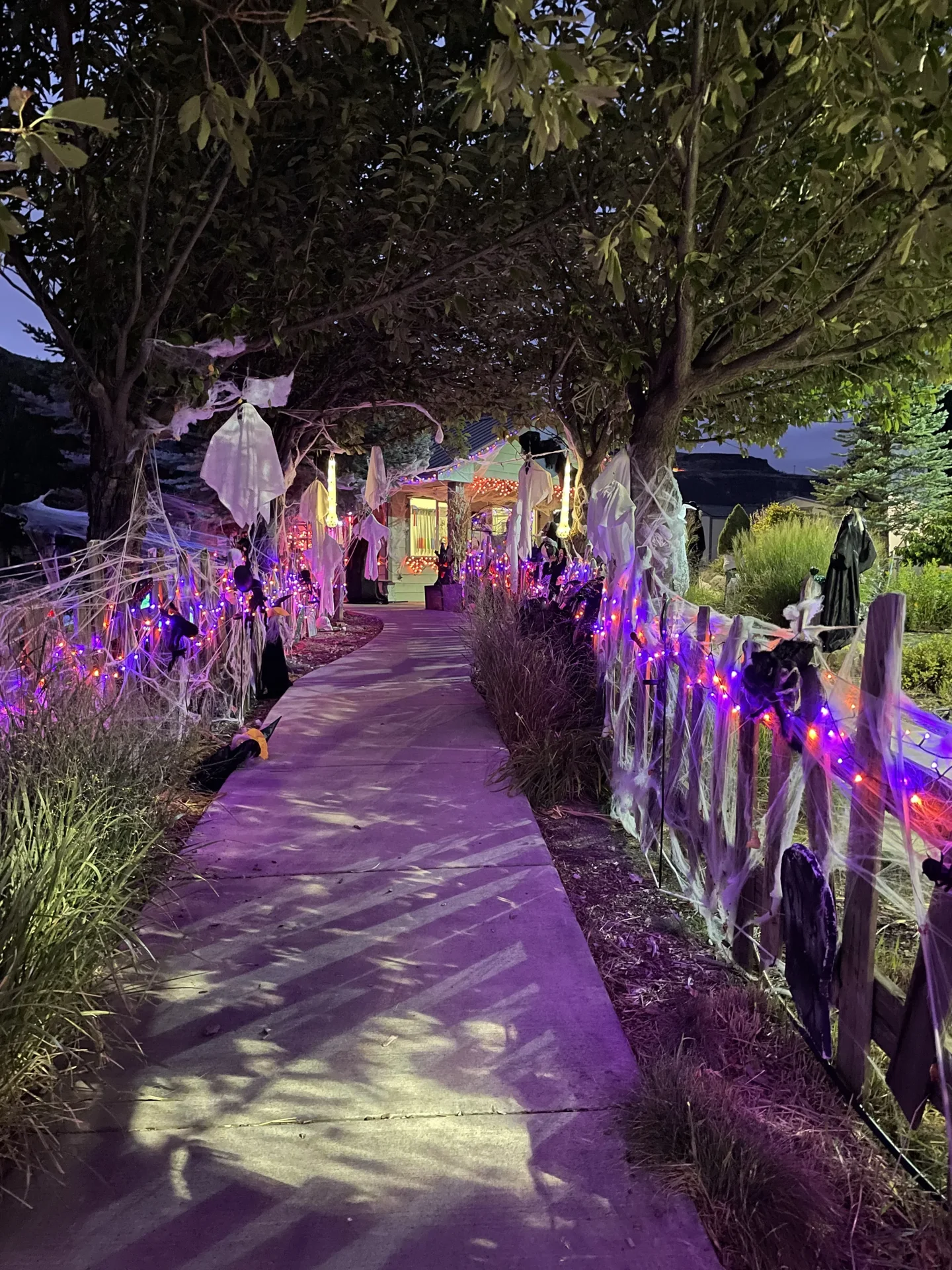 Path lit up at night