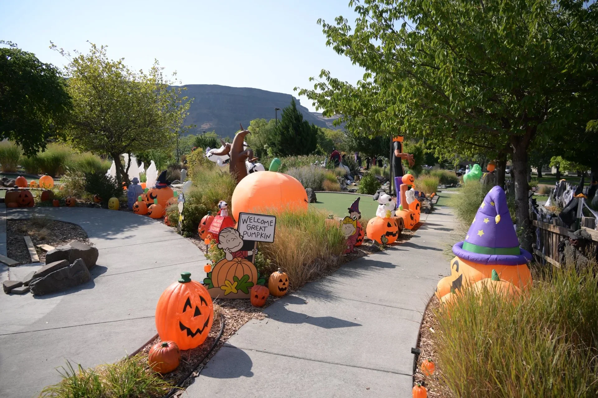 Welcome great pumpkin