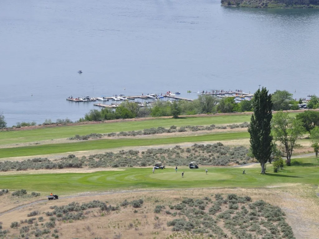 Golfing with a view of park lake