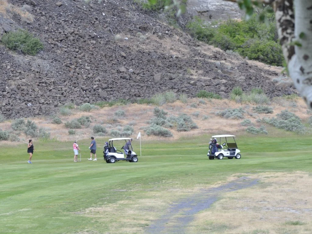 Green on hole 1 from 250 yds