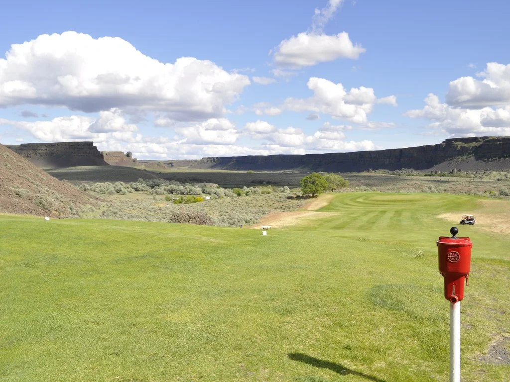 Hole 4 from the white tees