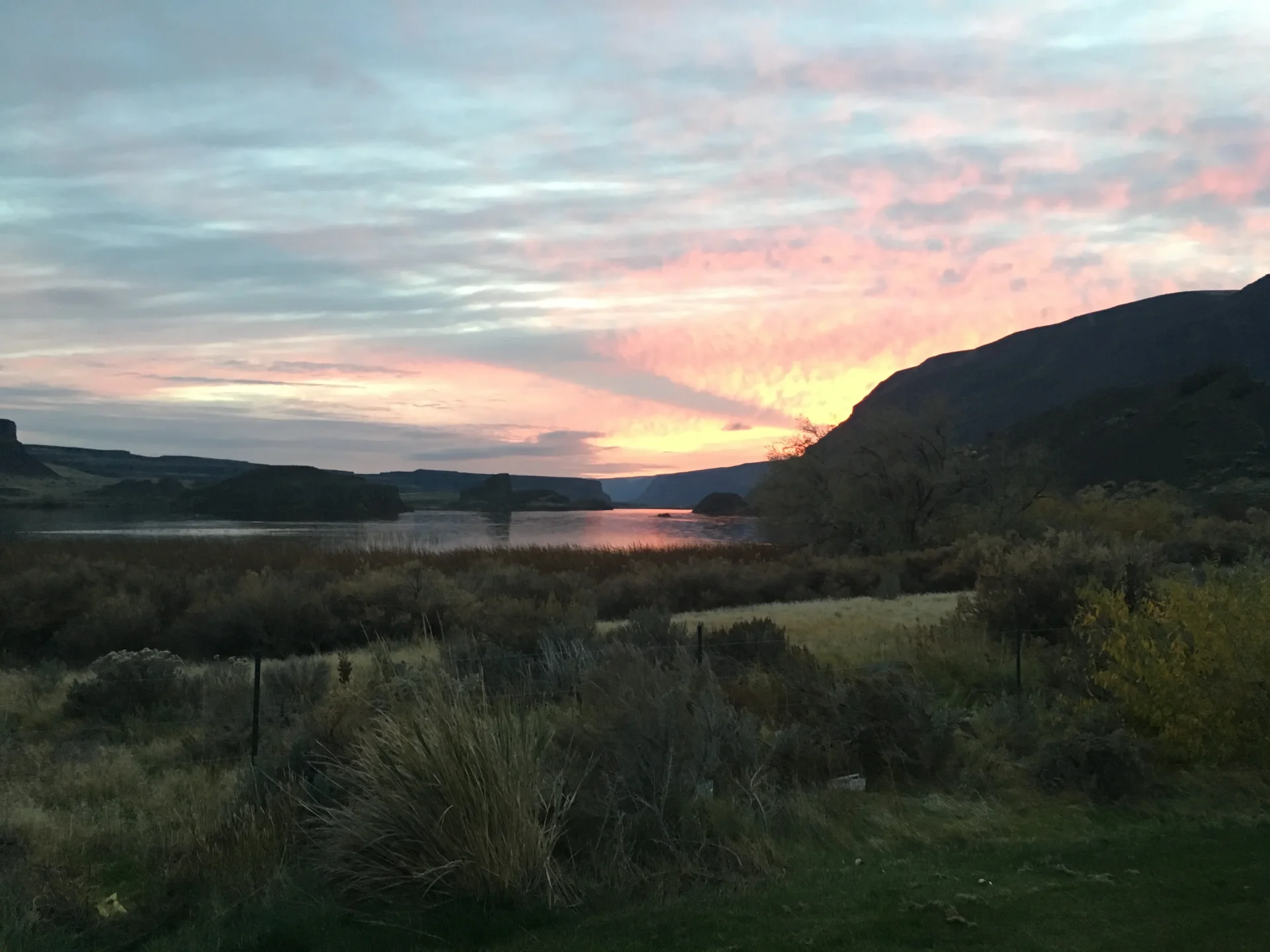 Pink Sunrise Over Park Lake