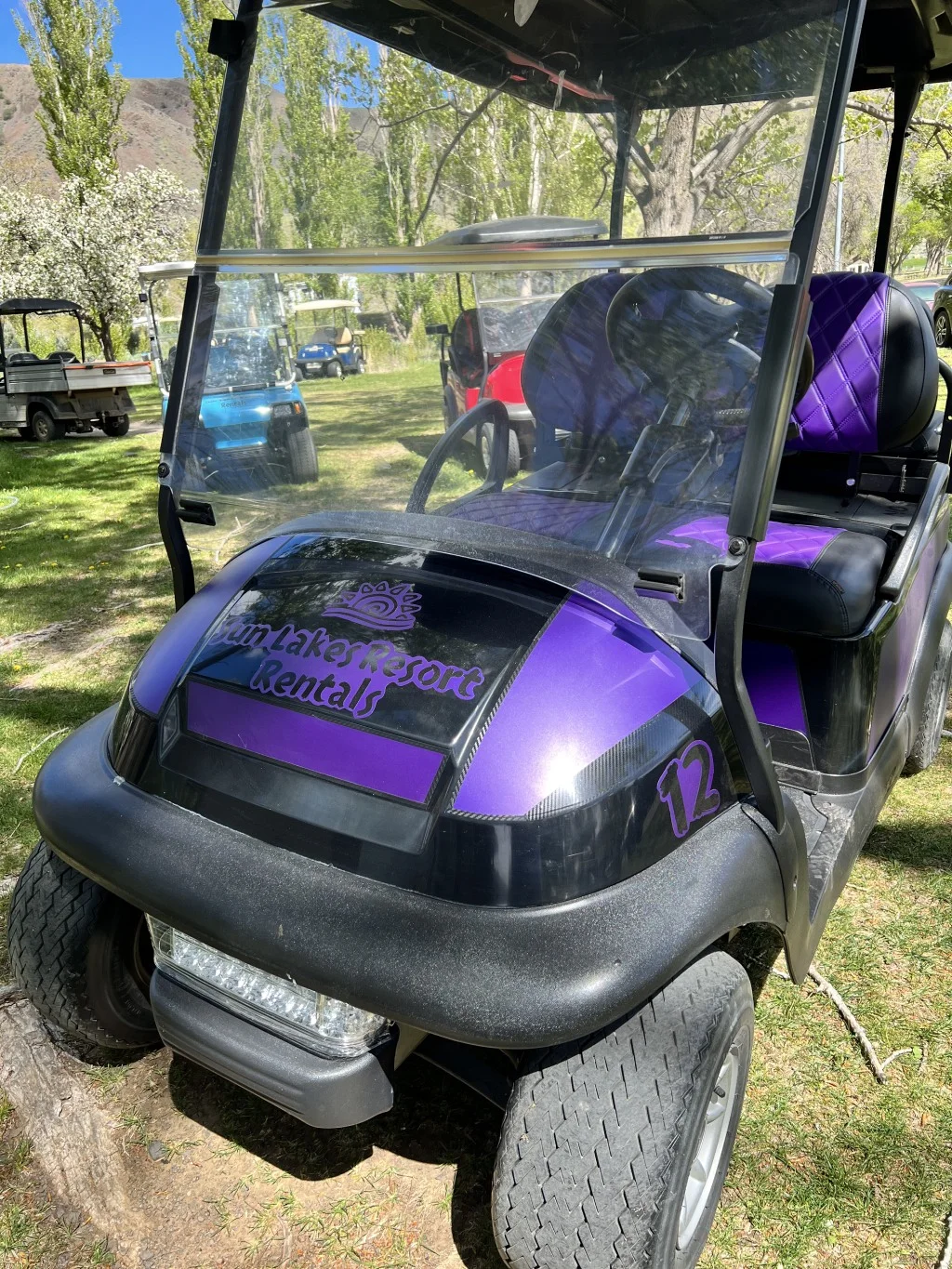 Black and purple 4 person cart for rent