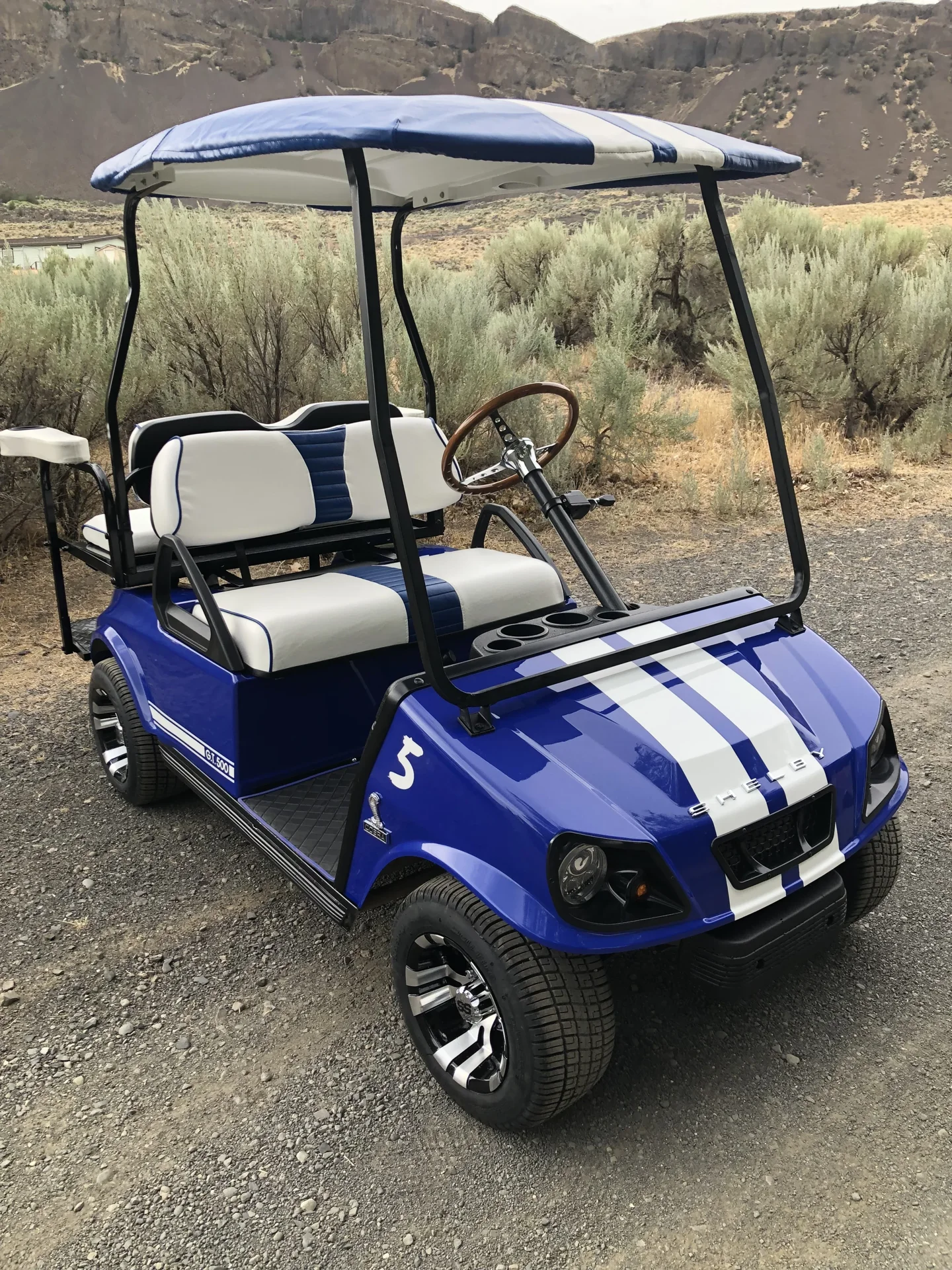 Blue 4 person cart for rent
