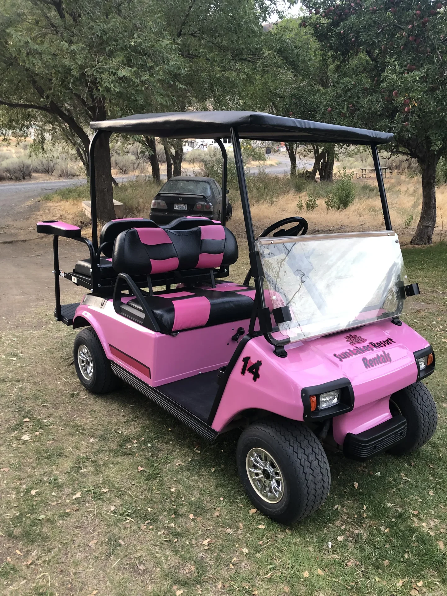 Pink 4 person cart for rent